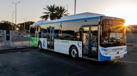 אלקטרה אפיקים, צילום: גלעד ארצי